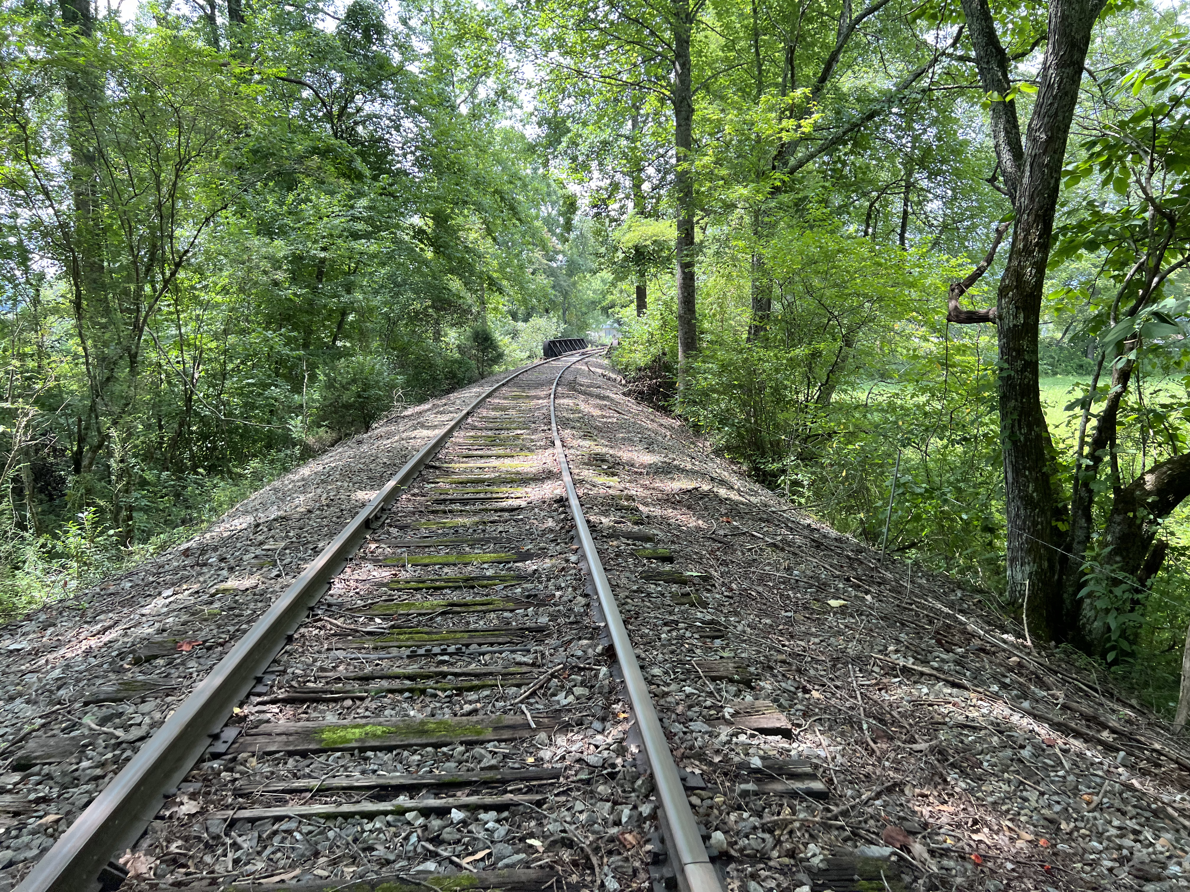 ./2023/11 - Asheville/IMG_9894.jpg